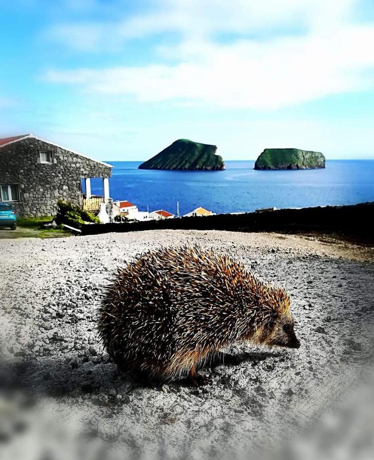 Breathe Nature - Beach House Azores Feteira  외부 사진